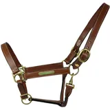 EQuest Lederhalfter Inscribe M Cob/Vollblut Cognac