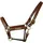 EQuest Lederhalfter Inscribe M Cob/Vollblut Cognac