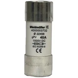 WEIDMÜLLER Sicherung gPV 30A FUSE WSFL#2873880000