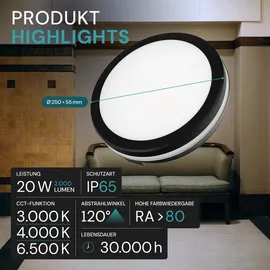 LUXULA LED Deckenleuchte 1 rund schwarz/weiß