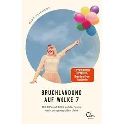 Bruchlandung auf Wolke 7