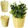 Kadax Spitzen-Blumentopf Kunststoff 12 cm Gelb