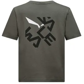 Salewa Graphic Kurzarm-t-shirt - Faded Green - 13-14 Jahre