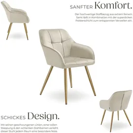 Tectake tectake® Esszimmerstuhl, gepolstert, in Samtoptik, gesteppt, schlanke, goldene Stahlbeine, 58 x 62 x 82 cm