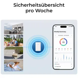Reolink RL-HUBP1 Grau/Weiß