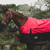 eQuitack Your Passion Is Our Mission Outdoor Winterdecke Turnout 100% Wasserdicht 1200 Denier Regendecke mit Fleece Lining - Red/Black 145cm