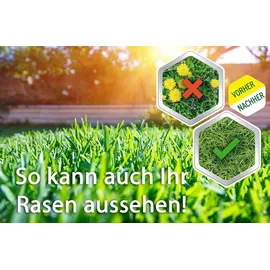 Roundup Rasen-Unkrautfrei Konzentrat 500 ml