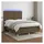 vidaXL Boxspringbett mit Matratze & LED Dunkelbraun 140x200 cm Stoff