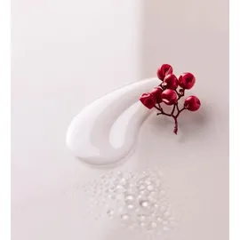 Annemarie Börlind Anti-Aging Revitalizer Gesichtsserum 15 ml