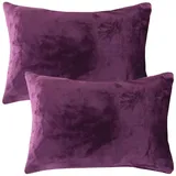 Bestlivings Kissenhülle Kuschel Kissenbezug mit Reißverschluss 40 x 60 cm Violett 2er Pack