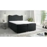 Fun Möbel Boxspringbett Schlafzimmerbett SULTAN New in Stoff Velvet X Schwarz 120x200cm - Schwarz
