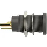 SCHUTZINGER Schützinger DI KBU 7992 L Au / SW Kelvin-Einbaubuchse Schwarz 1 St.,