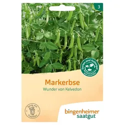 Bingenheimer Saatgut Markerbse - Wunder von Kelvedon