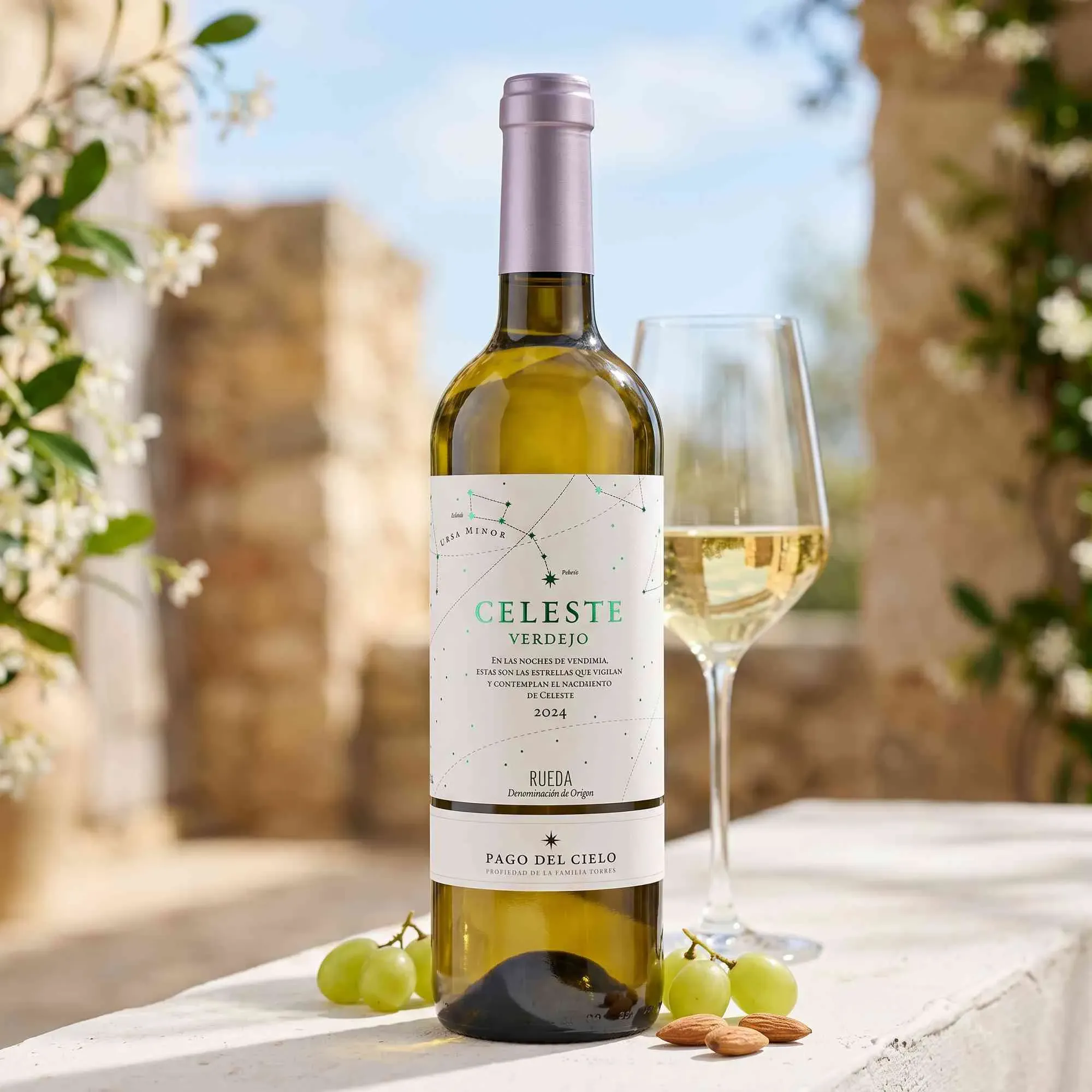 Torres 2024 Torres Celeste Verdejo Pago del Cielo 2024 Verdejo Spanien