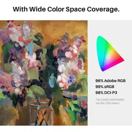 Huion Kamvas Pro 19 (18.40", 5080 lpi), Grafiktablett, Grau