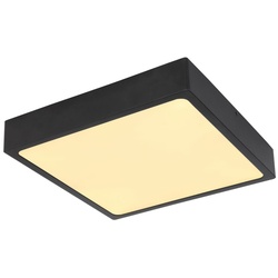 Echo Deckenleuchte Metall Schwarz Matt, Led