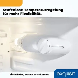 Exquisit KS85-V-091E Kühlschrank (75 l, 843 mm hoch, Grau)