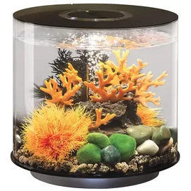 biorb® biOrb TUBE 15 MCR schwarz