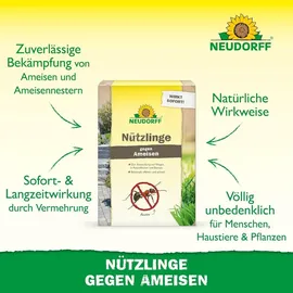 NEUDORFF SF-Nematoden gegen Ameisen 10 Mio. St.