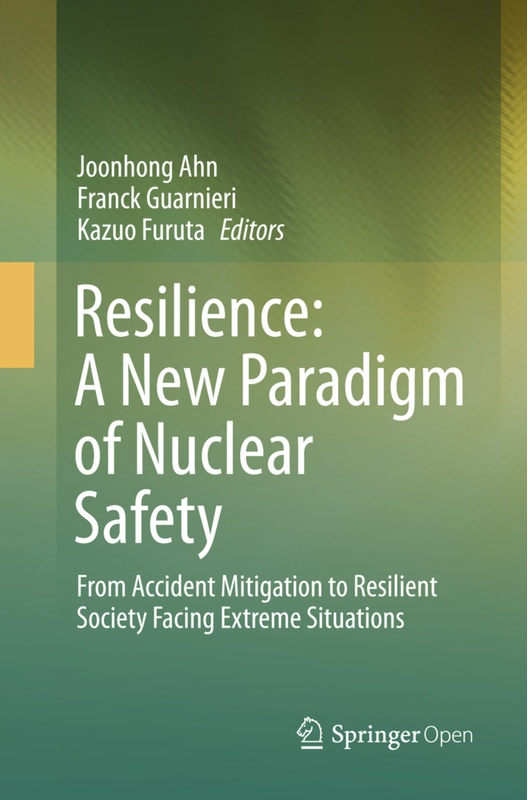 Resilience: A New Paradigm Of Nuclear Safety  Kartoniert (TB)