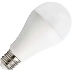 Bailey | LED Lampe | E27  | 20W