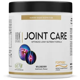 hbn supplements Joint Care Green Apple Pulver 390 g