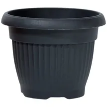 Prosperplast Terra 48L 55 x 55 x 43 cm Anthrazit