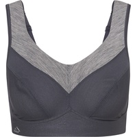 Anita Damen PanAlp Merino Wolle Sport BH (Größe 70E, grau)