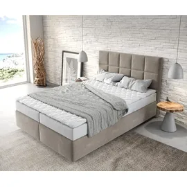 DeLife Dream-Fine 140 x 200 cm H2 beige