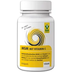 MSM RAAB VITALFOOD