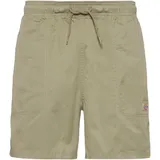 Dickies Pelican Shorts Beige L