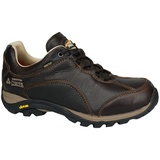 MEINDL Linosa Identity GTX Herren