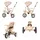Chipolino Tricycle Marathon 2 in 1 Dreirad, Sitz umkehrbar, Gummiräder, Dach
