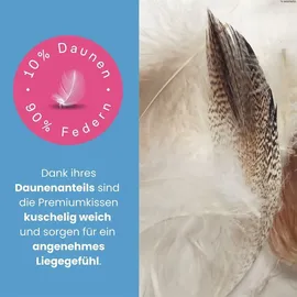 Wometo Premium Kopfkissen 80 x 80 cm Weiß