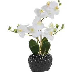 Kunstpflanze LEONIQUE "Orchidee", schwarz-weiß (weiß, schwarz), B:13cm H:38cm T:6,5cm, Kunststoff, Polyester, Keramik, Kunstpflanzen, Kunstpflanze, Kunstorchidee, im Topf, Bestseller, über 2500 4,5-Sterne-Bewertungen
