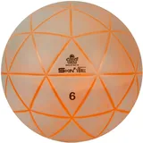 TRIAL Gewichtsball Hellgrün 6 kg