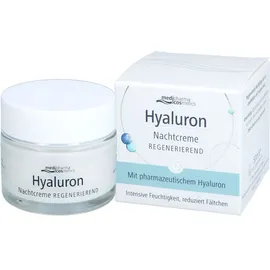 Dr. Theiss Naturwaren Hyaluron Nachtcreme regenerierend