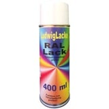 RAL 5018 Türkisblau Matt 400 ml 1K Spray