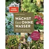 Wächst fast ohne Wasser