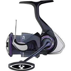 Daiwa 25 Prorex V LT4000-C