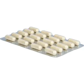 Avitale DARMFLORA Aktiv Plus 100 Mrd.Bakterien+7 Vitamine 40 St