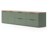 Vicco Wohnwand, Wido, Grün/Sonoma, 3 Teile, (80 x 40 x 50 cm, Wohnzimmer, Wohnwände, Anbauwände