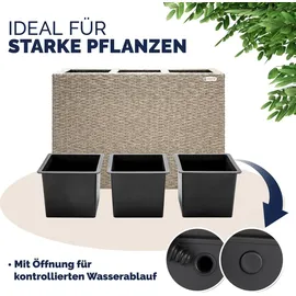 DEUBA Blumenkasten 83 x 30,5 x 60 cm Creme
