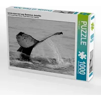 Calvendo Ich bin dann mal weg; Buckelwal, Antarktis Puzzle