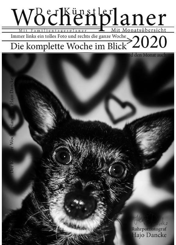 Wochen Planer 2020 Mit Monatsübersicht - Künstleredition Mit Hundefoto Für Jede Woche - Hajo Dancke, Kartoniert (TB)