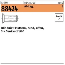 F. REYHER Nchfg. GmbH & Co. KG Blindnietmutter M 10 / 4,0 - 6,5 Aluminium 100 Stück