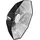 Profoto OCF Beauty Dish Silver 2