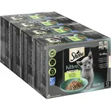 Sheba Kitten Feine Vielfalt in Sauce 12 x 85 g