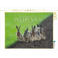 Calvendo Ein Motiv aus dem Kalender Emotionale Momente: Feldhasen