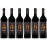 6x Primitivo Fanova Riserva, 2019 - Weingut Terrecarsiche 1939, Puglia! Wein